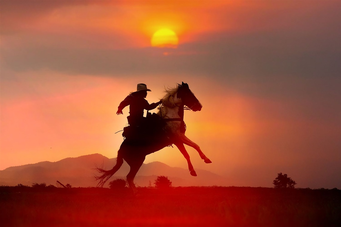 AdobeStock_485083234.jpeg