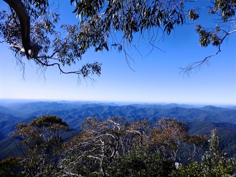 New_England_National_Park_NSW_AUSTRALIA.jpg