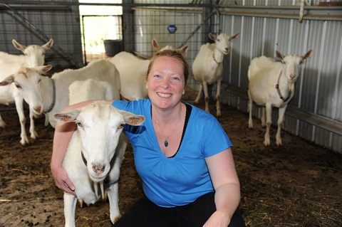 Uralla-Sunhill-Dairy-Goats-1-Corinne-Annetts.jpg