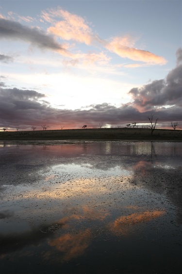 Dangars Lagoon