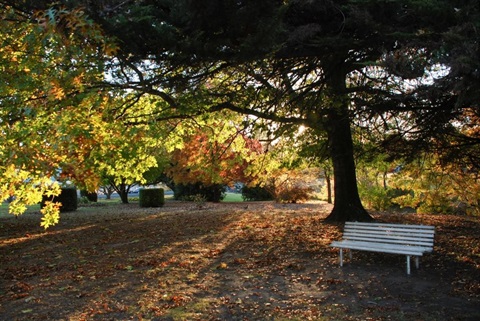 Alma Park Uralla Visitor Information Centre