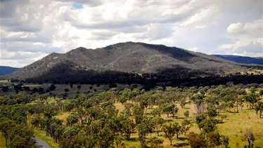 Mount Yarrowyck